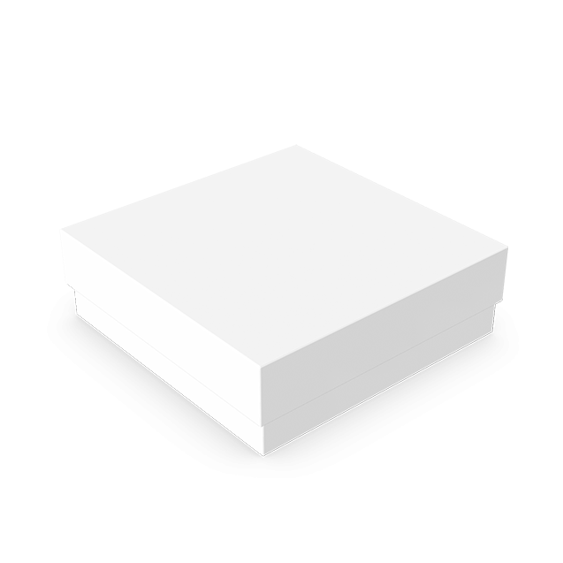 Mini Caixa Quadrada G Branca – Branco